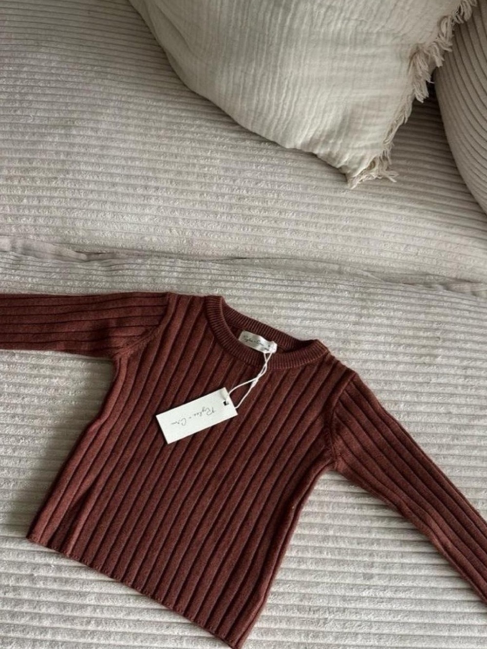 Rylee + Cru Ribbed Crewneck Sweater in Rust